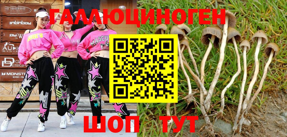Псилоцибиновые грибы GOLDEN TEACHER Белореченск