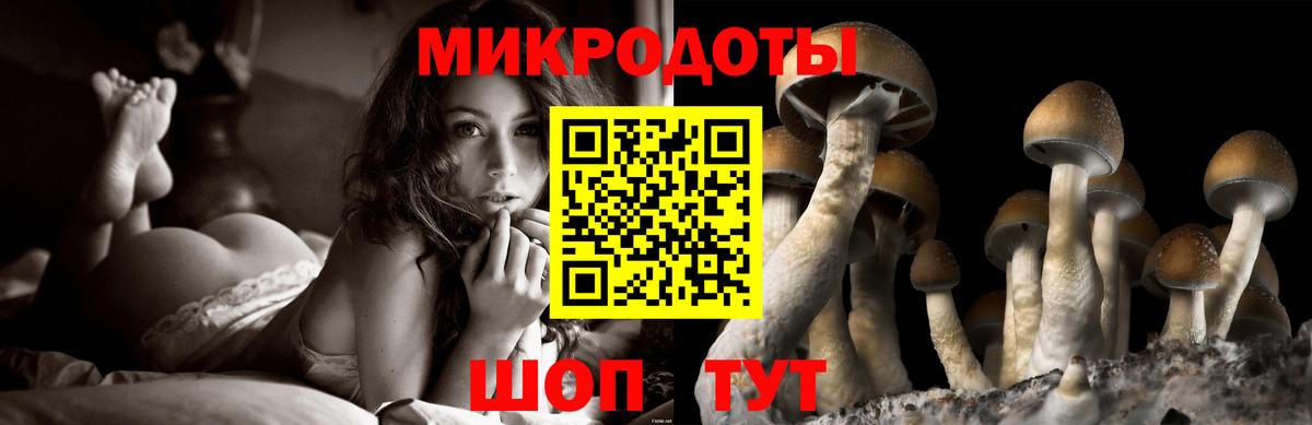 как найти закладки  Псилоцибиновые грибы Magic Shrooms  Вход с VPN  Белореченск 